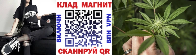 Купить закладку Alpha-PVP  Галлюциногенные грибы  Бошки Шишки  Кокаин  Меф  Лесной