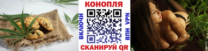 Canna-Cookies марихуана  Купить  Лесной 