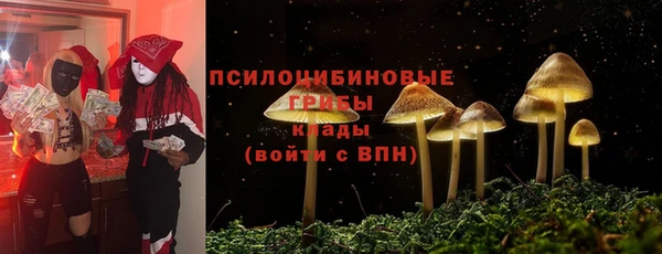 мет Зеленодольск