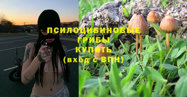 MDMA Premium VHQ Зерноград