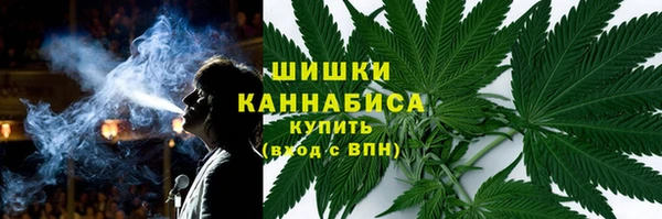 СК Зеленокумск