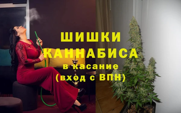 СК Зеленокумск
